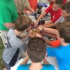 2016 Barron River